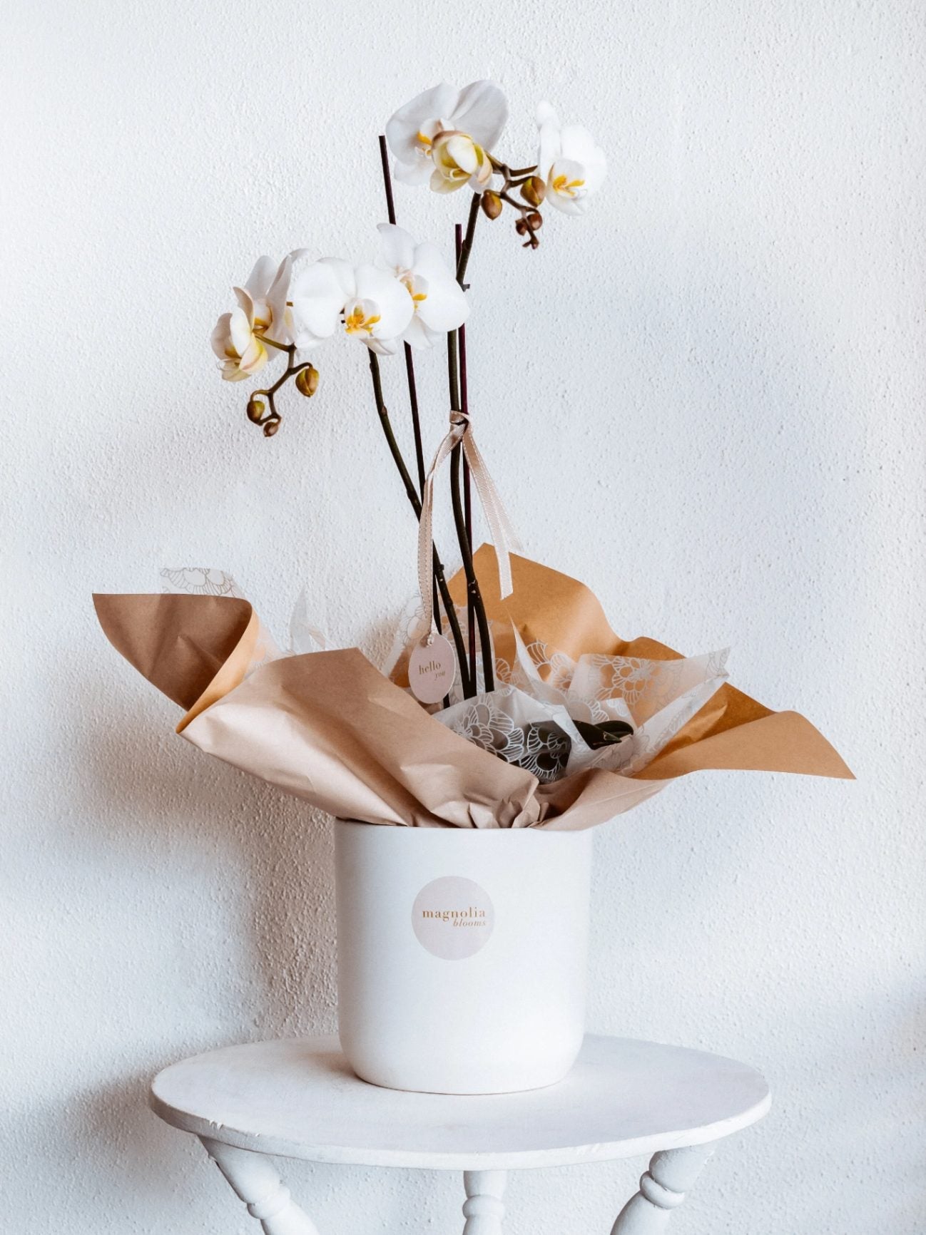 Orchid Bloom Pot