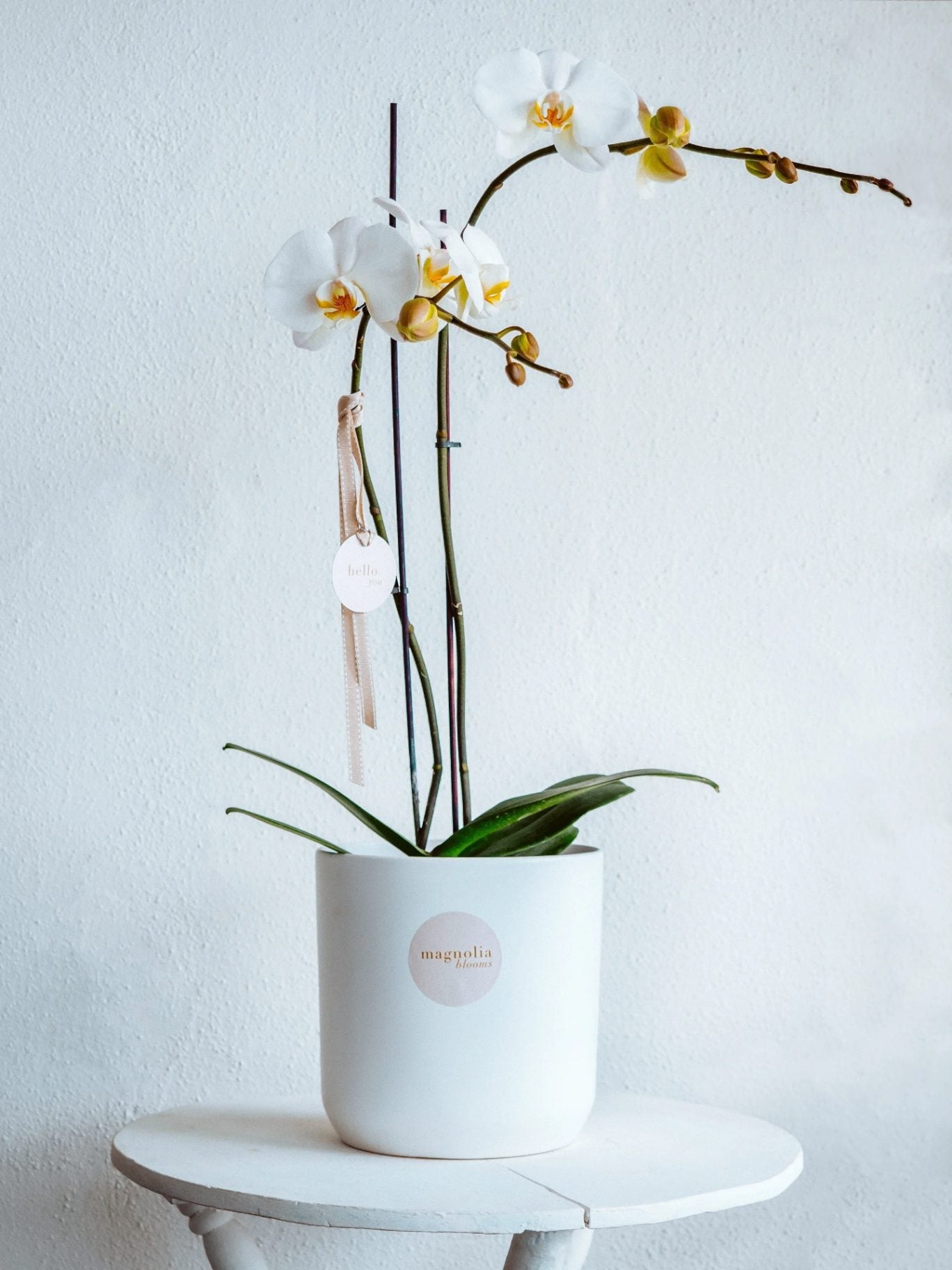 Orchid Bloom Pot — view 2